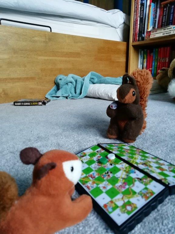 1.squirrel snakes & ladders